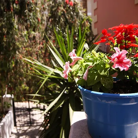 Apartments Mary Agios Gordios  Exterior photo